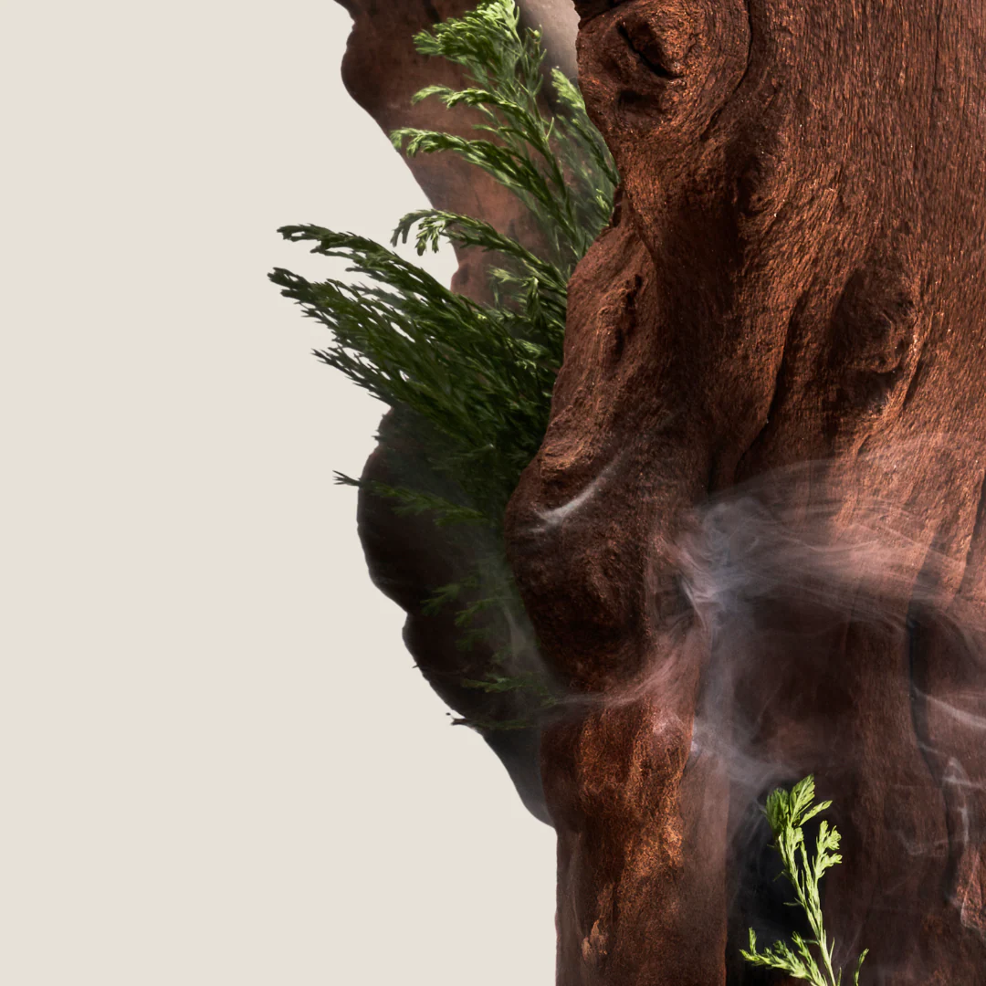 Hinoki Wood Shower Gel 200ml - Image 4